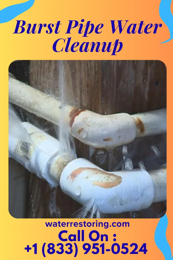 Burst Pipe Water Cleanup in Gloucester City, NJ