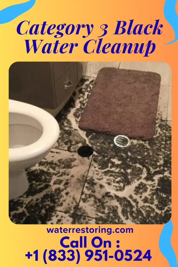 Category 3 Black Water Cleanup in Gloucester City, NJ