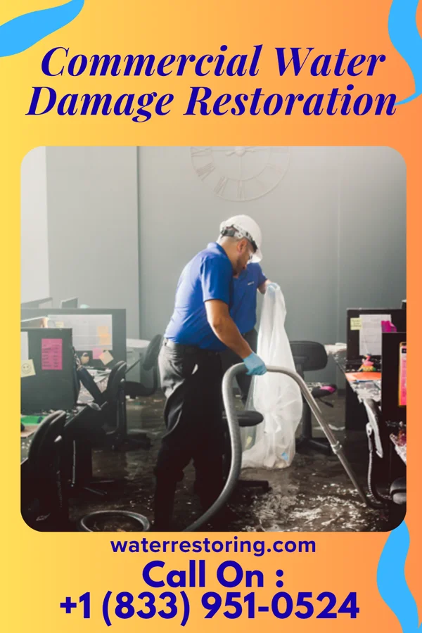 Commercial Water Damage Restoration in Gloucester City, NJ