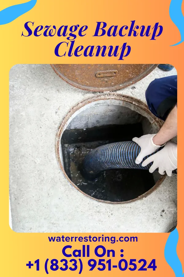 Sewage Backup Cleanup in Gloucester City, NJ