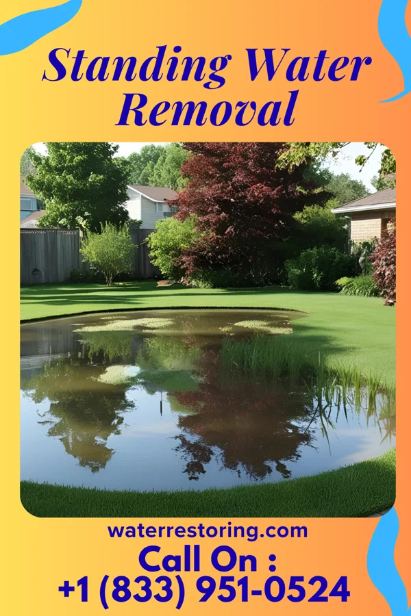 Standing Water Removal in Gloucester City, NJ